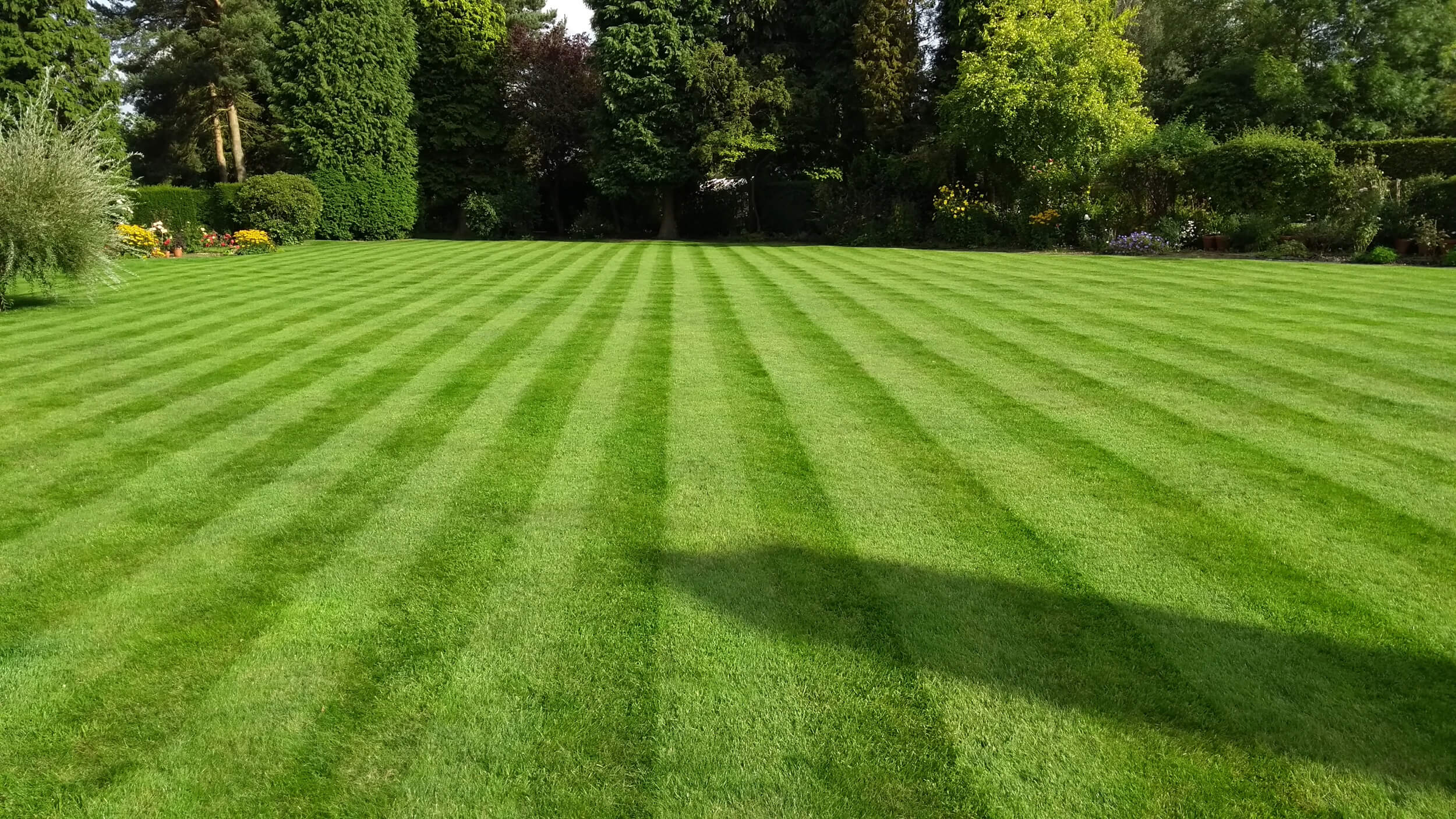 Lovable Landscaping maintenance in leicestershire